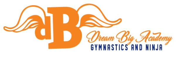 Dream Big Gymnastics Academy logo