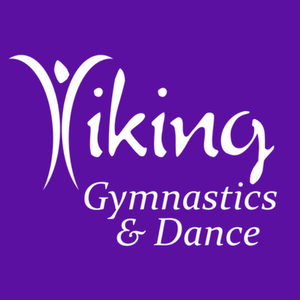 Viking Gymnastics Club  After-School, Camps & Day in Niles, IL