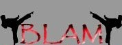 BLAM-After School, Tutoring, Karate & Summer Camps, Inc. logo