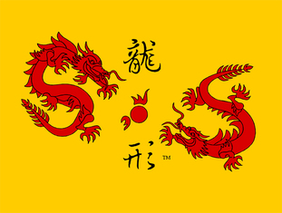 Shaolin Kung fu Institute Hightstown logo