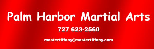 Palm Harbor Martial Arts logo