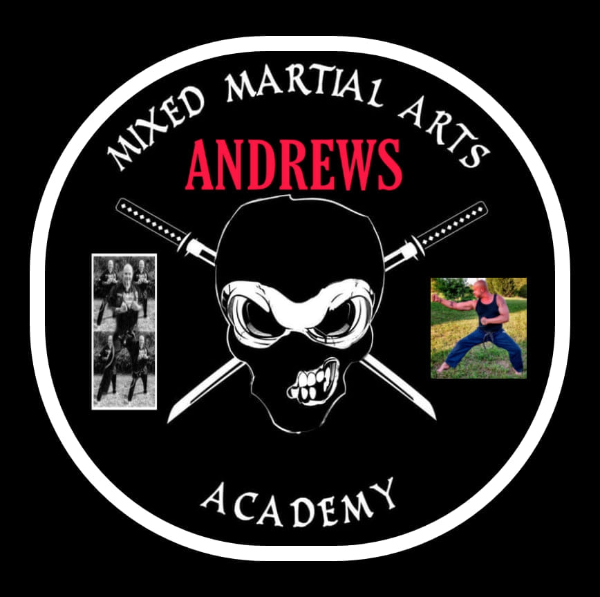 Andrews Karate & MMA Academy logo