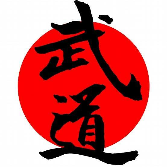 Budokan Newton logo