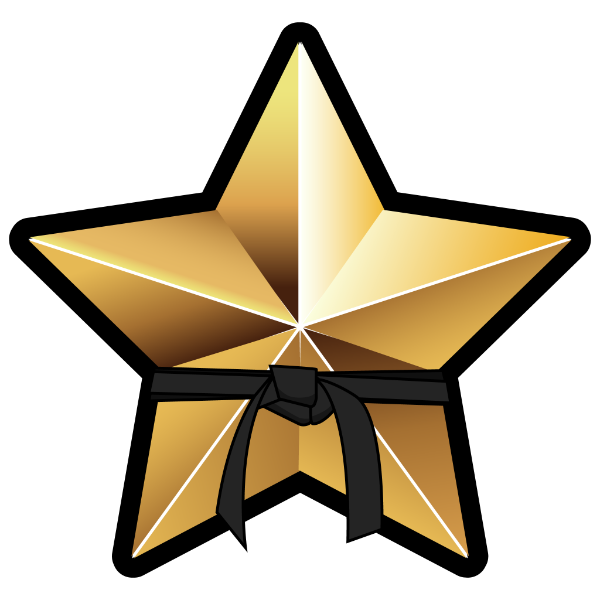 All Star Kids Karate Academy - Westmont logo