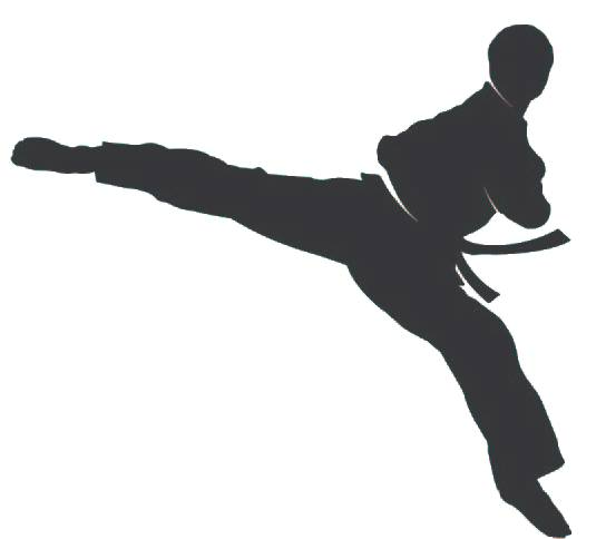 Lee's White Tiger logo