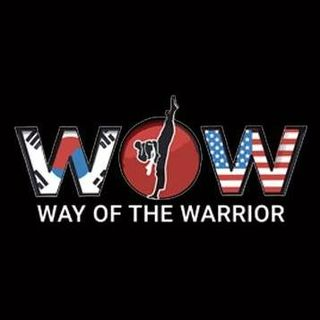 WOW Taekwondo logo