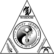 HENRY GRAVES MARTIAL ARTS ACADEMY logo