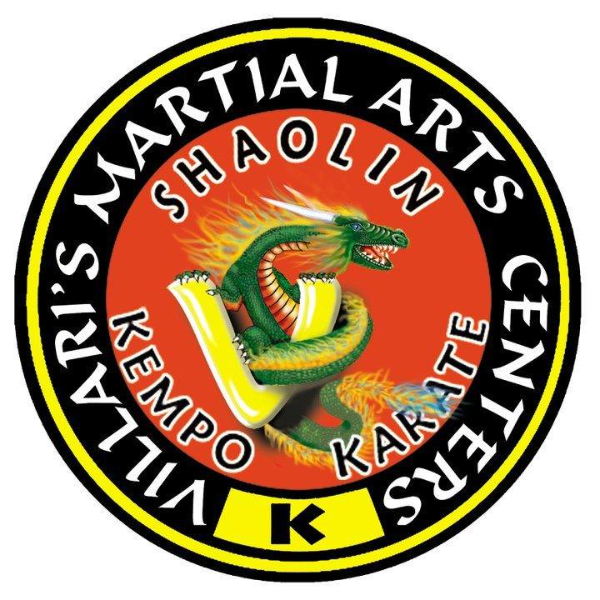 Villari's Martial Arts of Palm Coast logo