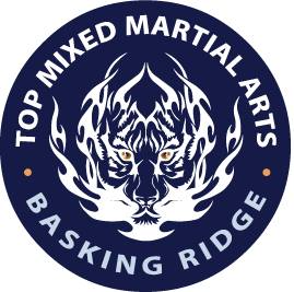 Top Mixed Martial Arts logo