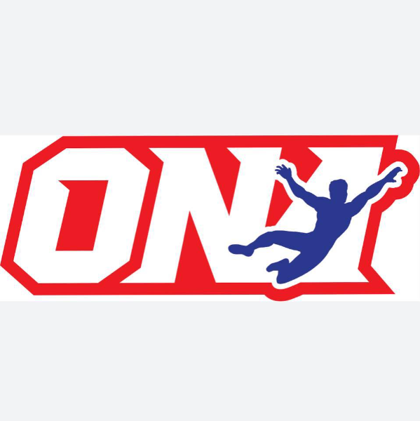 Obstacle Ninja Academy logo