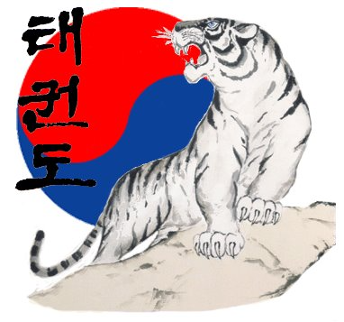 Black Tiger Tae Kwon Do logo