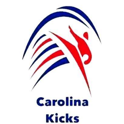 Carolina Tae Kwon Do Academy logo