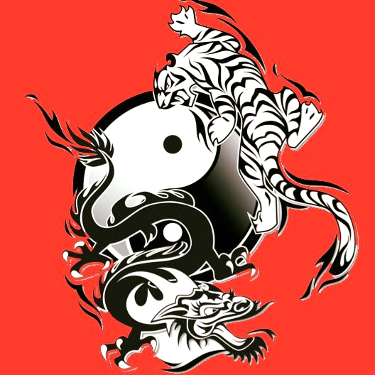 United Martial Arts Academy Epsom logo