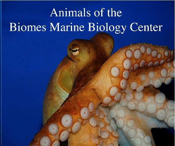 Biomes Marine Biology Center logo