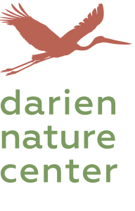Darien Nature Center logo
