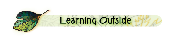 Learning Outside (formerly Irvin Learning Farm) logo