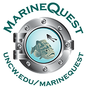 MarineQuest UNCW logo