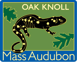 Mass Audubon's Oak Knoll & Attleboro Springs Wildlife Sanctuaries logo