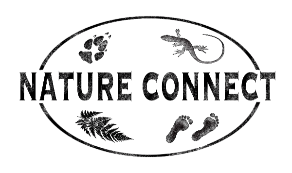 Nature Connect NC logo