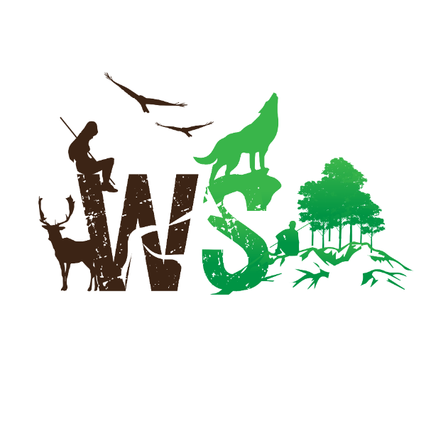 Wilderskills logo