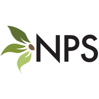 Newton Early Childhood Program logo