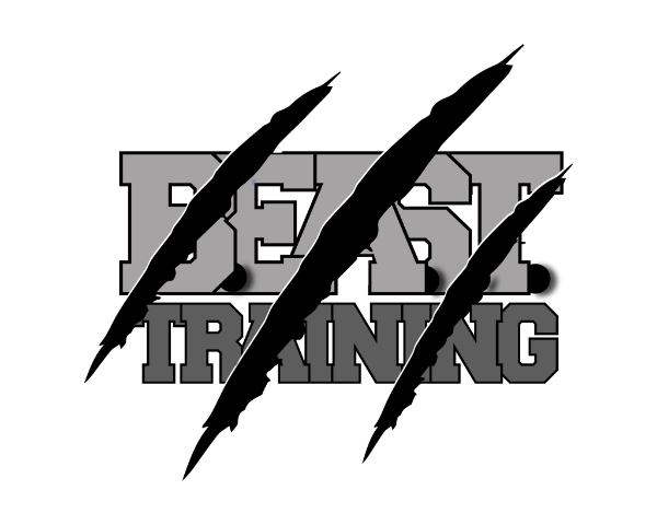 Beast Basketball Training logo
