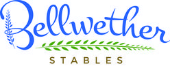 Bellwether Stables logo