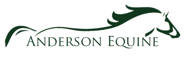 Anderson Equine LLC logo