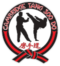 Cambridge Tang Soo Do logo