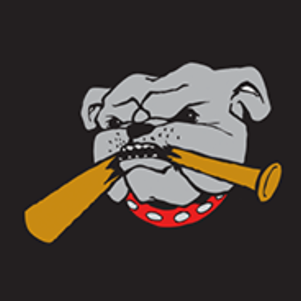Dugout Baseball & Softball Clb logo