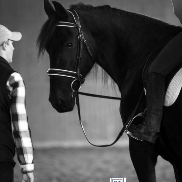 Highland Acres Equestrian Center logo