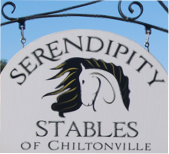 Serendipity Stables logo
