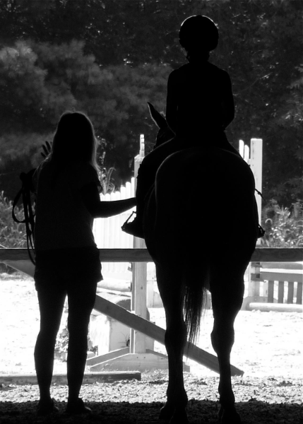 Shadowfax Farm logo