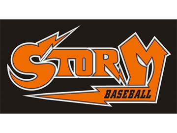 New England Storm Baseball logo