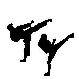 Skip Ells’ Martial Arts Institute logo