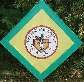 Ted Williams Baseball League logo