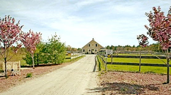 Riesling Stable logo