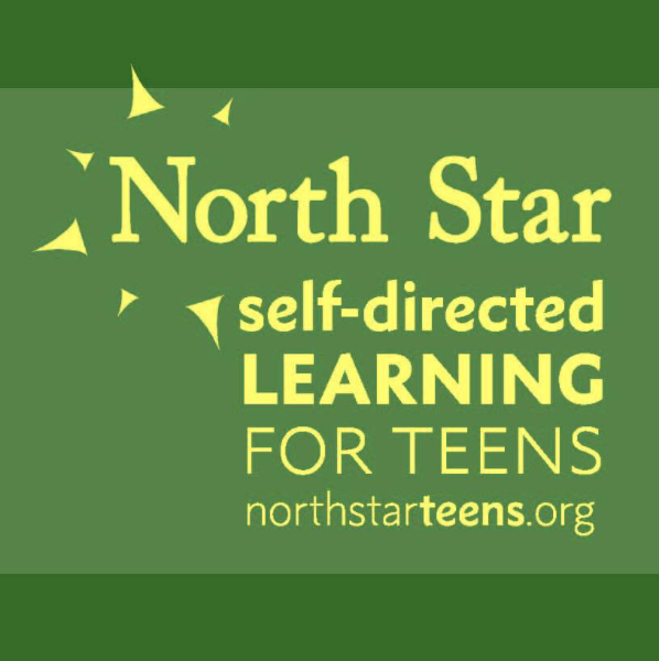 North Star Sunderland logo