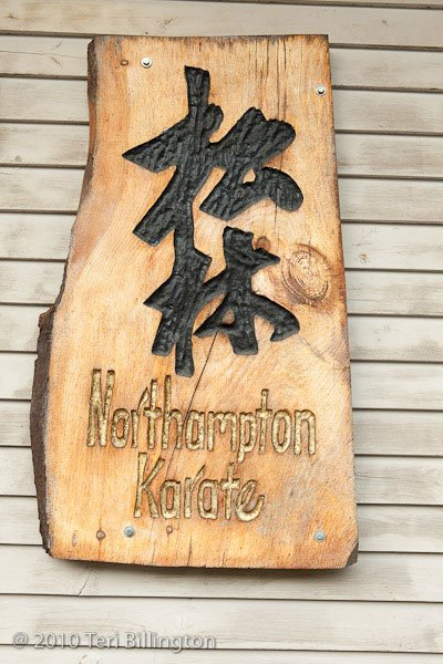 Northampton Karate logo
