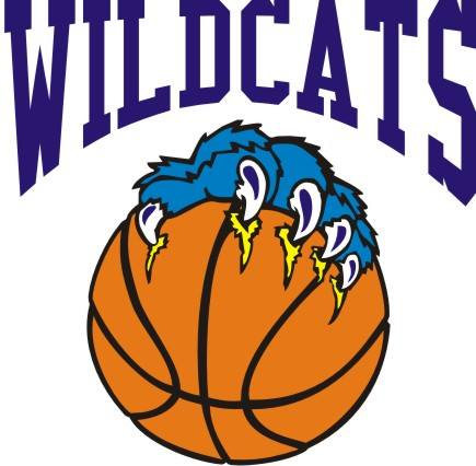 Wilmington Travel Basketball logo