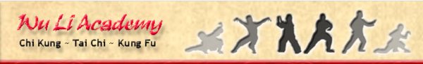 Wu Li Academy logo