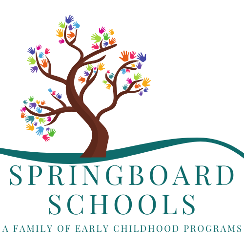 Sudbury Springboard School logo