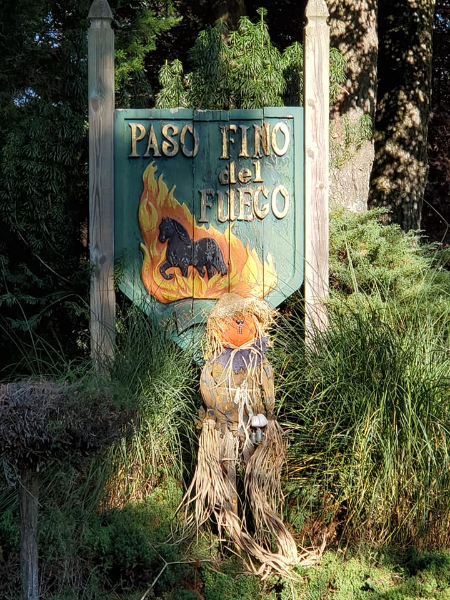 Paso Fino Delfuego Farm Inc logo