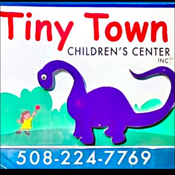Tiny Town Inc logo