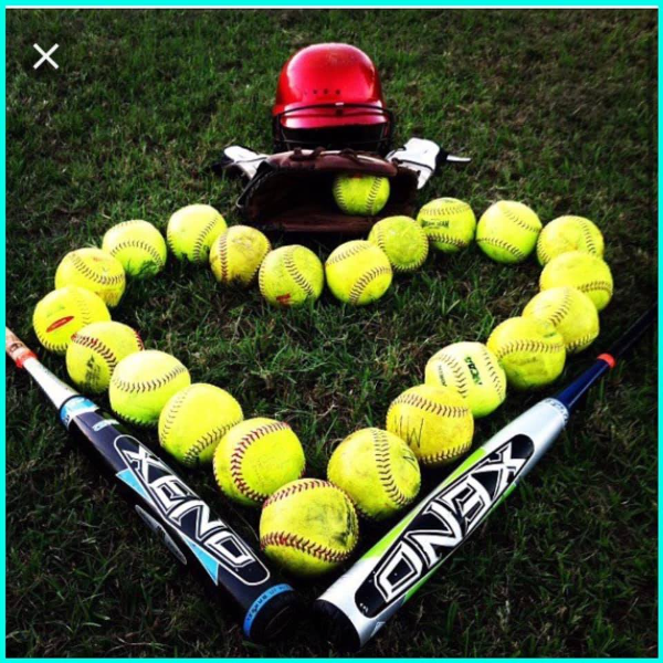 Wolcott Girls Softball Association logo