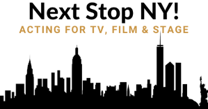Next Stop NY! logo