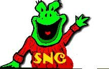 Swift Nature Camp logo