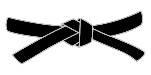 Budokan Judo School logo