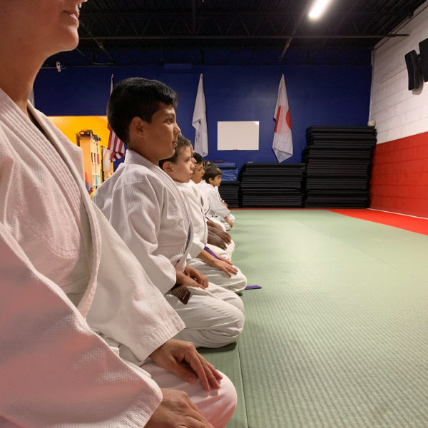 Cape Coral Aikido logo