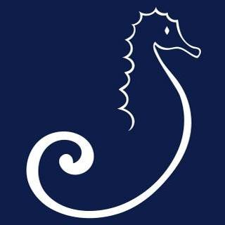 Sea Kids logo